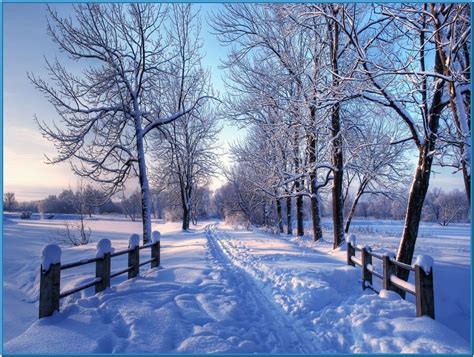 Snowy Winter Screensaver Mac Download Free Winter Landscape Winter Scenery Winter Pictures
