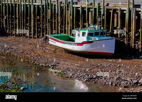 Fishing Boats Resting On The Ocean Floor At Low Tide In Halls Harbour