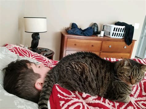 Freshpet is dedicated to bringing the power of fresh, real food to pets. My cat likes to sleep on me, but at some point turns ...