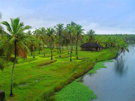56,200 free images of nature beauty. images of beauty | Natural Beauty of Kerala | Beauty of ...
