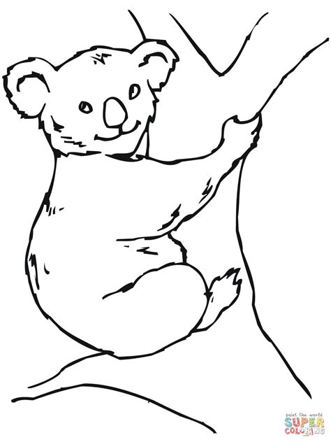 Simple Koala Drawing At Getdrawings Free Download