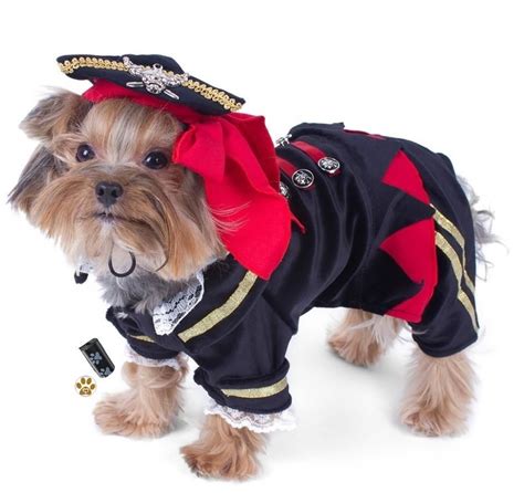 For Pups Who Long For The High Seas Savvy Deluxe