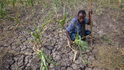 Us Pledges 97m To Combat Ethiopias Drought Miami Herald