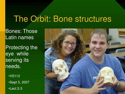 Ppt The Orbit Bone Structures Powerpoint Presentation Id333751