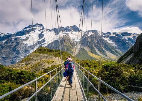 Discover the Beauty of New Zealand: 5 Day Trips From Christchurch
