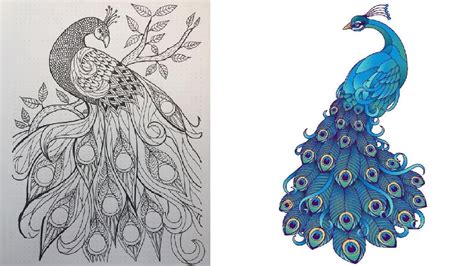 Tavus Kuşu Mandala Boyama Sayfası Nasıl Çizilir YouTube