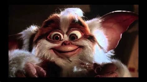 I Not Gizmo Daffy Mogwai From Gremlins 2 How To Be A Crazy Goofy