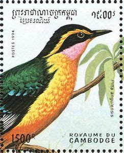 Stamp African Pitta Pitta Angolensis Cambodia Birds Mi Kh
