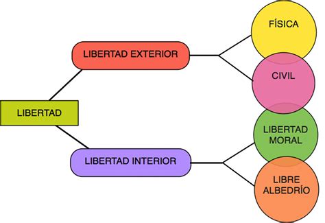 Mapa Conceptual De La Libertad Como Derecho Humano Reverasite My XXX Hot Girl