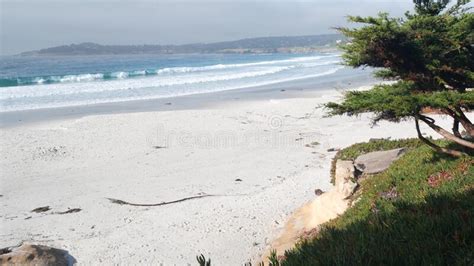Ocean Sandy Beach California Coast Sea Water Waves Crashing Sunny
