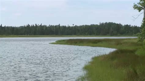 Wetland And Forested Sites Conserved On Nova Scotias