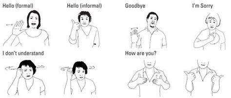 A sign language is a language which uses visually transmitted sign patterns mainly from the hand, arm and finger movement to convey meaning and expression instead of acoustic sounds. Essential Expressions in British Sign Language - For ...