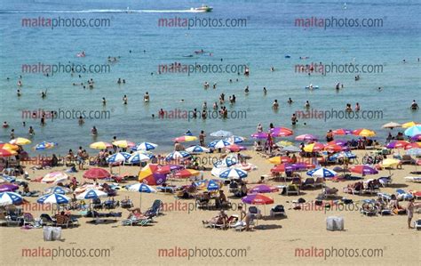 Beaches Sandy Swimming Golden Bay Tourists People Sunbathing Malta Photos