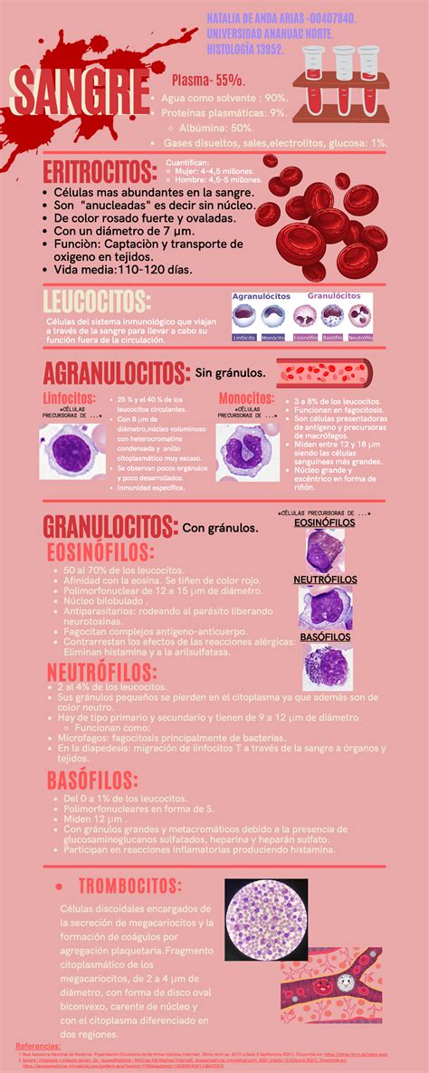 Sangre Y Hematopoyesis Infografía De Repaso Células Del Sistema