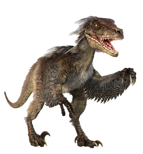 Learn About The Velociraptor One Of Jurassic Worlds Main Dinosaurs How It Works Magazine