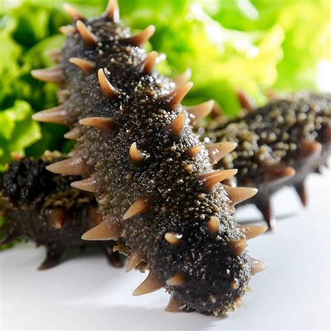 What Are Sea Cucumbers How Are They Cooked