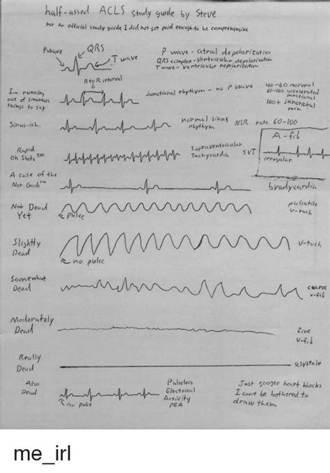 Acls Algorithms Free Printable Hot Sex Picture