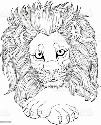 Lion Coloring Adult Drawing Animal Monochrome Istockphoto