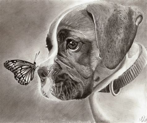 Dog And Butterfly By Teszu On Deviantart