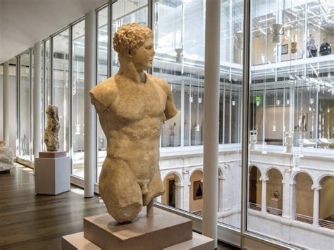 Harvards Art Museums Reopen In Renzo Piano Building Designed For