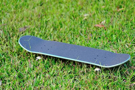 2700 Grass Skating Stock Photos Pictures And Royalty Free Images Istock
