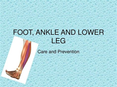 Ppt Foot Ankle And Lower Leg Powerpoint Presentation