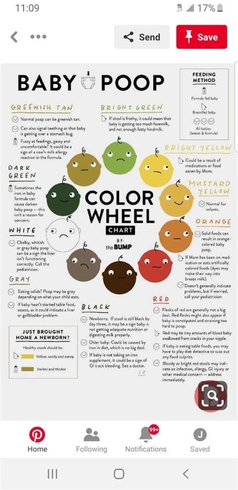 What Clay Colored Stool Means The Meaning Of Color