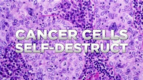 Live Healthy Cancer Cells Self Destruct Youtube