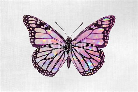 Pink Holographic Butterfly Png  Digital Download Clipart Etsy