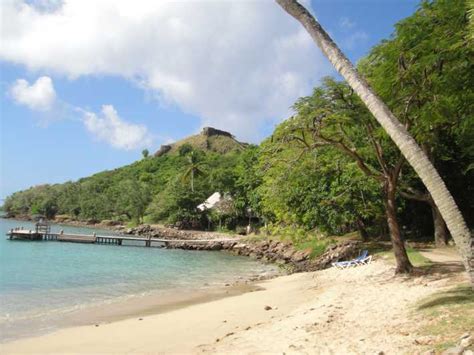 Pigeon Point And Castries Paradise Tour On Saint Lucia Getyourguide