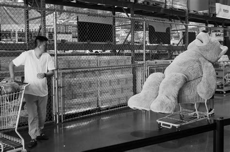 bear passed out in costco and had to be carted out giantteddybear giant teddy bear