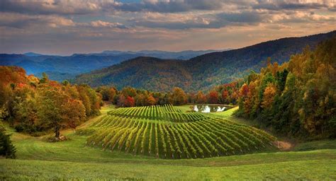 Hendersonville Nc Winery Tours Wine Tour Usa Travel Destinations