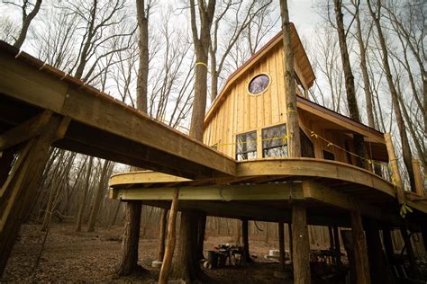 Toledo Is Getting A Super Cool Treehouse Village And We're Incredibly Jealous