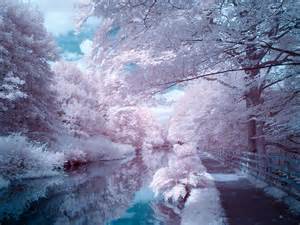 False Colour Conversion In Infrared Photography The