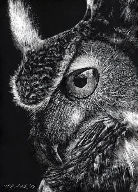 Great Horned Owl Drawing By Mark Rasbach