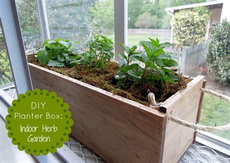 Diy Herb Garden Planter Box