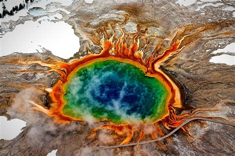 Come to yellowstone to see grizzly and black bears, thousands. A Surprise From the Supervolcano Under Yellowstone - The ...