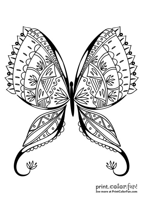 Exotic Butterfly Coloring Page Coloring Page Print