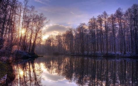 Hd Tall Trees Reflecting In The Lake Wallpaper Download Free 149296
