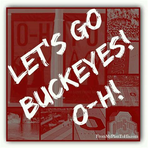 Pin By Dawn Karnes On Osu Buckeyes Ohio State Buckeyes Football