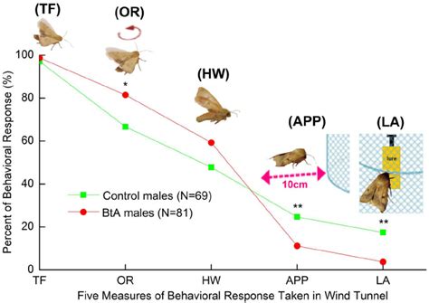 Behavioral Responses Of Male Moths To A Pheromone Lure In The Wind