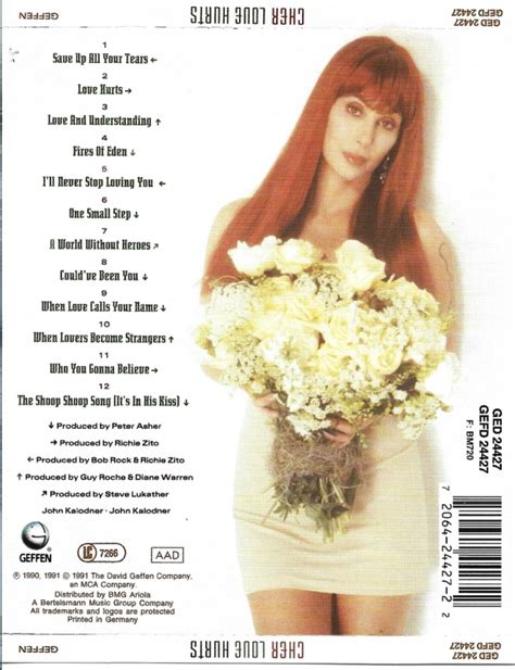 Cher Love Hurts CD Oldshop Halsteren