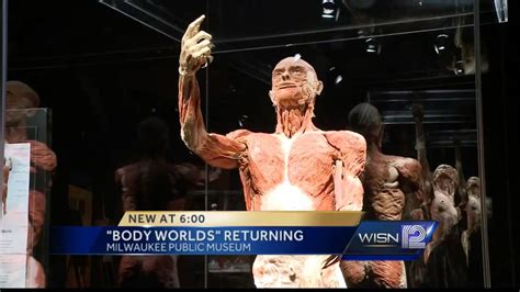 New Body Worlds Exhibit Opens In Milwaukee This Weekend Youtube