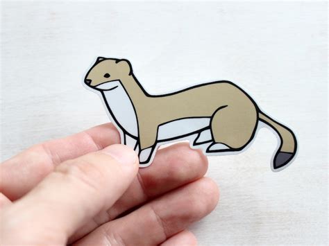 Weasel Vinyl Sticker Whimsical Animal Illustration Etsy