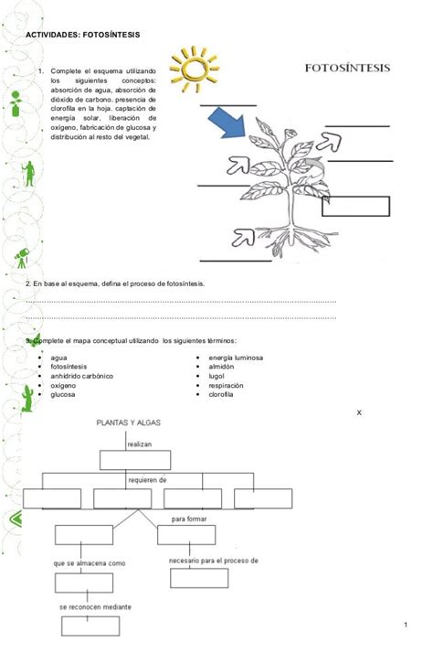 Ac C831 Fotosintesis Fotosintesis Mapa Conceptual Actividades Images