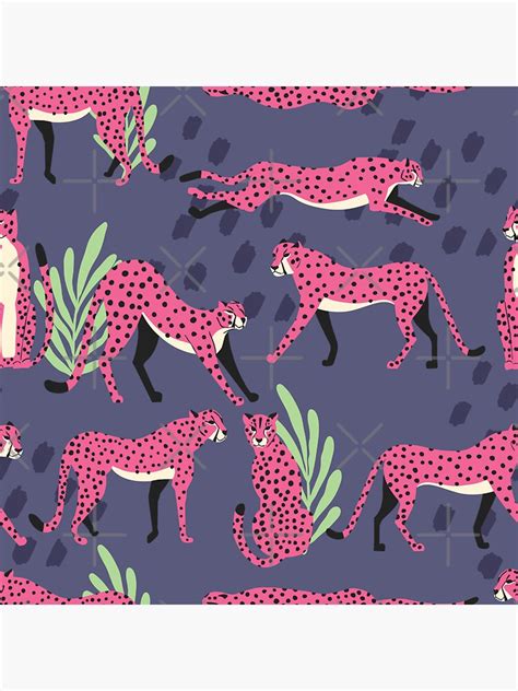 Pink Cheetahs On Purple Pattern Sticker For Sale By Bluelela Redbubble
