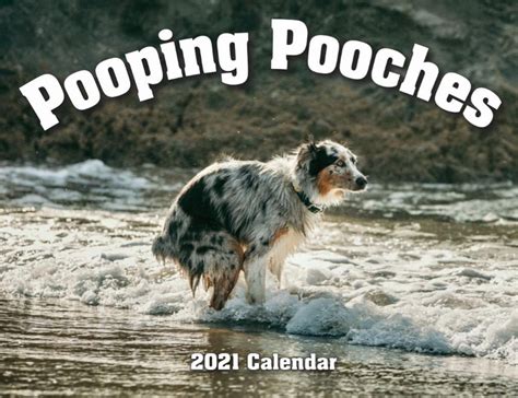 This Hilarious Pooping Dog Calendar 2021 Is Perfect For Every Desk