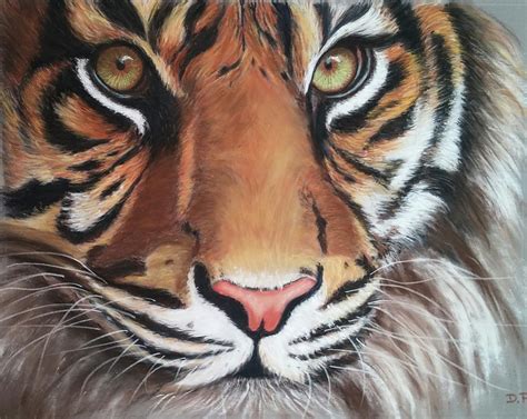 Tigre Pastel Sec · Image Gratuite Sur Pixabay