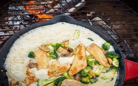 Cremet Kylling Med Svampe Og Broccoli Opskrift Opskrifter