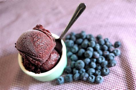 Recipe Blueberry Sorbet